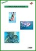 Vignette-natation